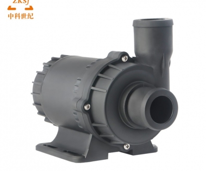 ZKSJ Brushless DC Pump DC80D-1